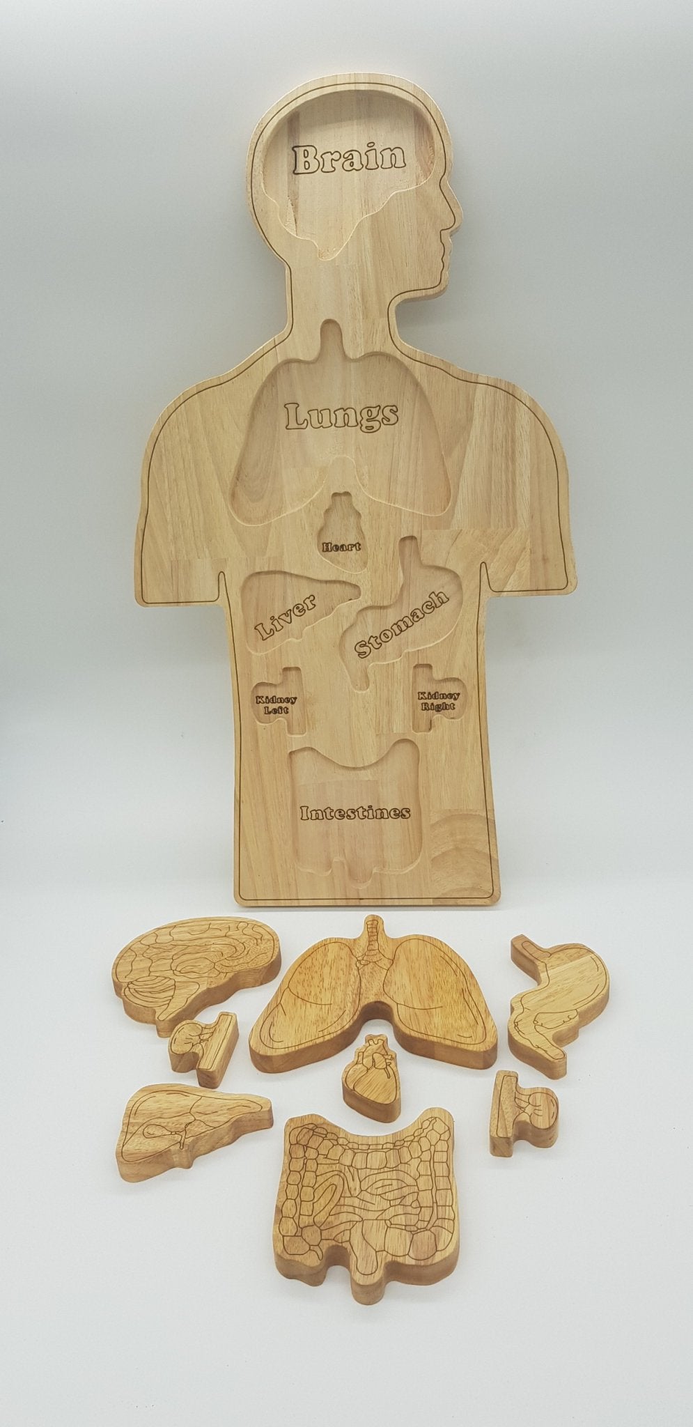 Wooden Anatomy Puzzle